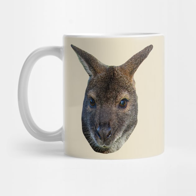 Red Necked Wallaby by dalyndigaital2@gmail.com